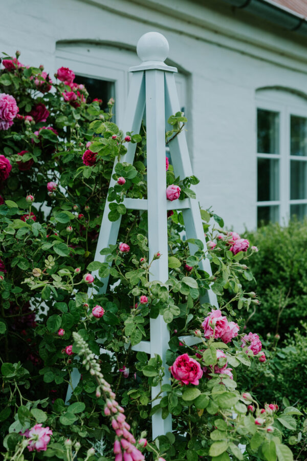 Stort blomster espalier hvid