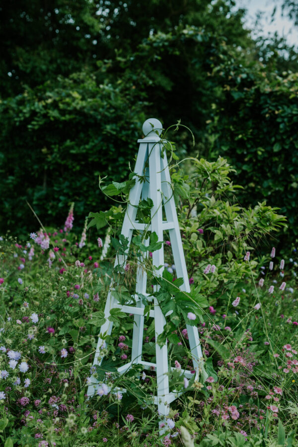 Lille blomster espalier hvid