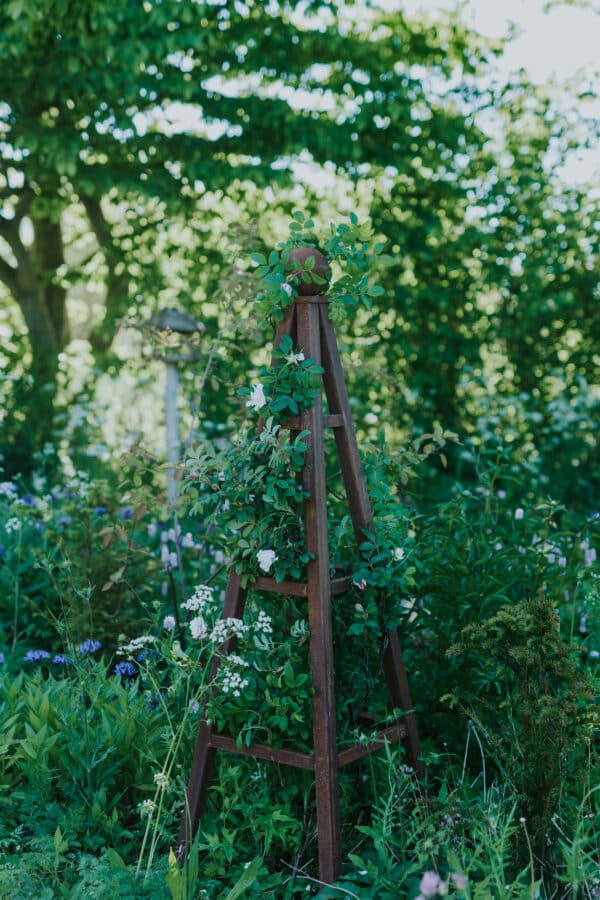 Lille blomster espalier rust